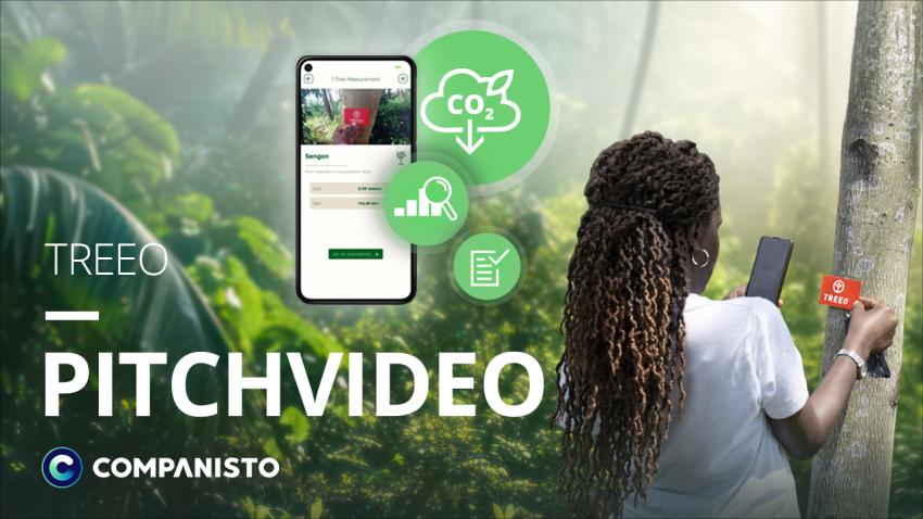 TREEO Pitchvideo